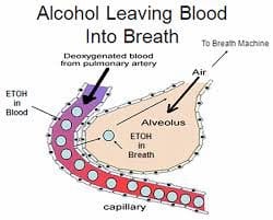 Blood Breath Partition Ratio in DWI Cases
